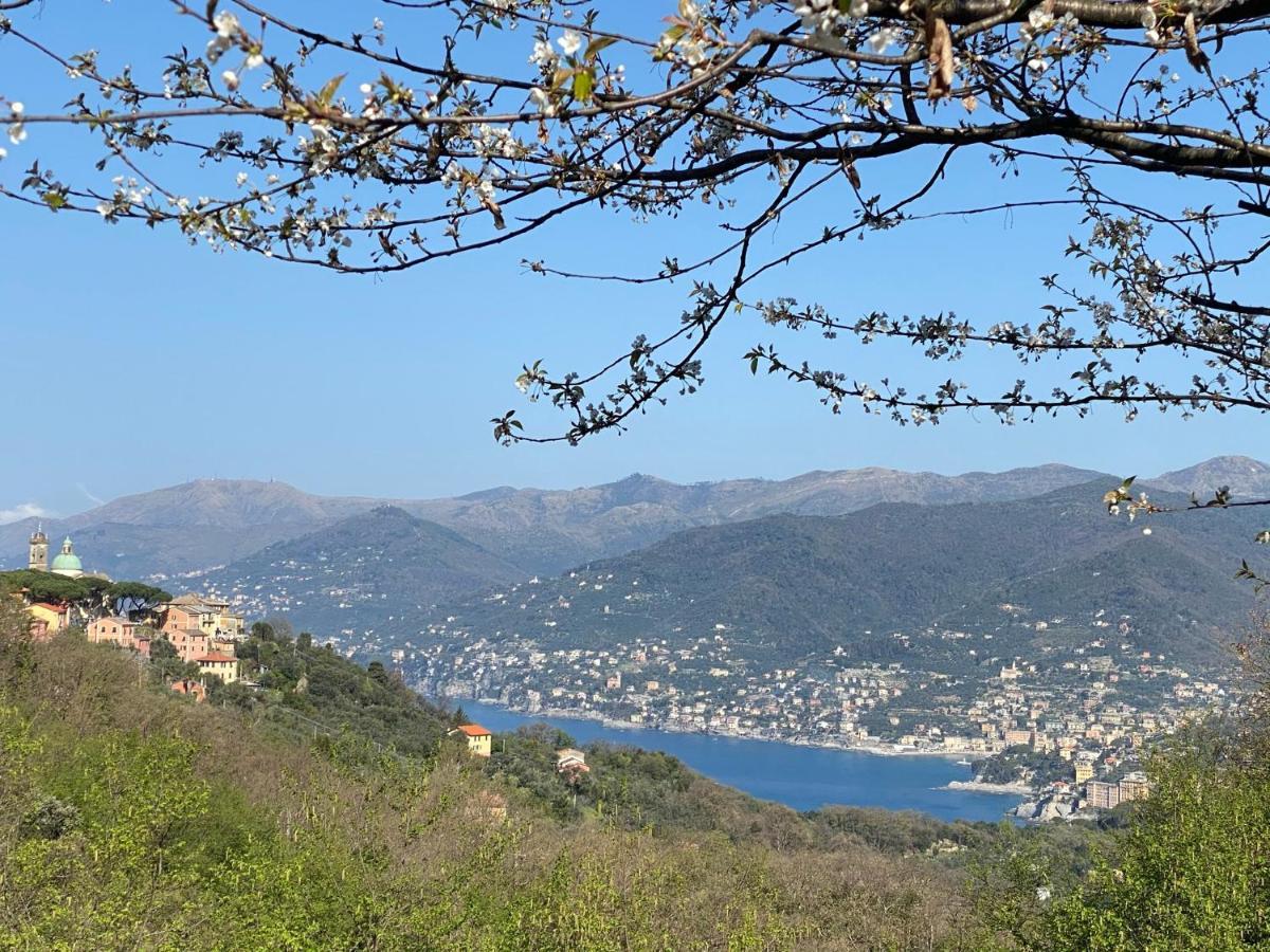 Liguria Home 4 Recco Esterno foto